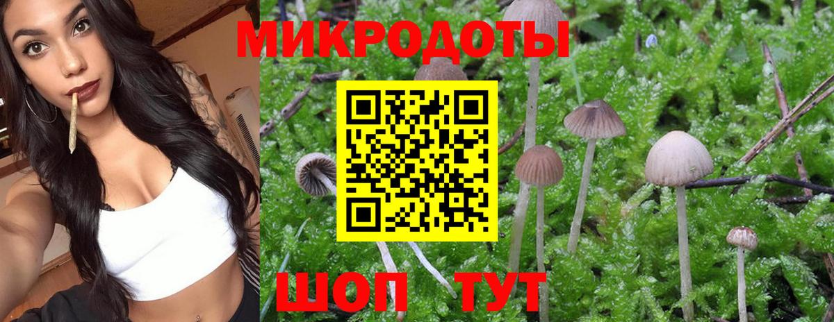 Псилоцибиновые грибы мицелий  Вход с VPN  Симферополь 